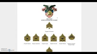 US Military Academies Rank Insignia