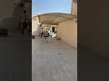مظلات سيارات مورن مظلات مظلات سيارات مورن مظلات