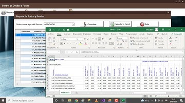 Visual Basic.Net 2019 y Sql Server. Exportar a Excel Deudas y Socios.