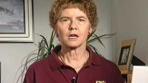 MS Flight Sim 2004 - All Introductory Flight Clips + Overview and Video