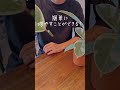 観葉植物を簡単に増やす方法!無限に増えます!🥹 #インテリアグリーン #観葉植物 #観葉植物のある暮らし #観葉植物の育て方 #観葉植物育て方 #フィカス #ティネケ #インテリアグリーン