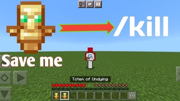 Will totem save me from /kill