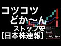 【日本株速報】25/2/13 コツコツどか〜ん!ここまで上げてきたのにストップ安とは!