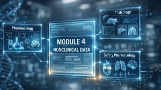 CTD Module 4 Explained | Nonclinical Data, Pharmacology, Toxicology & Safety Studies