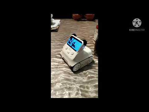 codey rocky robot#robot#kid future toy#easy to play