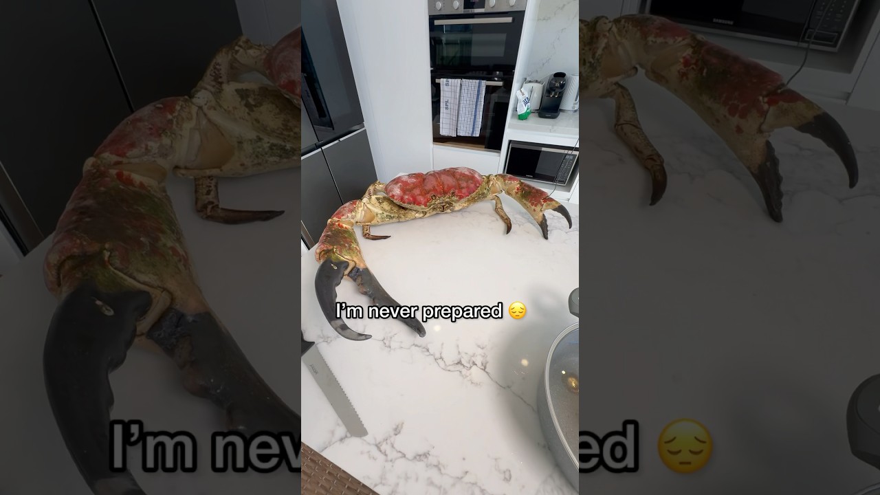 Cooking World’s Largest Crab!