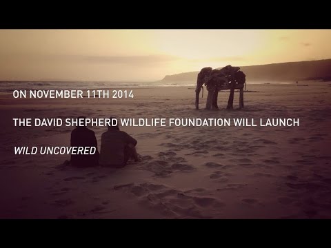 camera iphone 8 plus apk Wild Uncovered - 11-15 November - London E1 6QR
