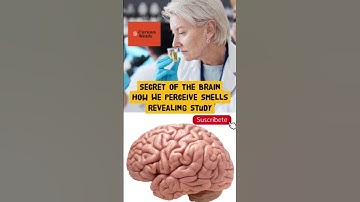 The Surprising Link Between Smell and Memory