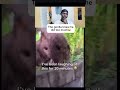 #funny #kidsvideo