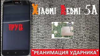 Xiaomi Redmi 5A не включается не заряжается &quot;РЕАНИМАЦИЯ УДАРНИКА&quot;