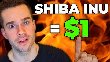 Shiba Inu $1 - Explained in 3 Minutes