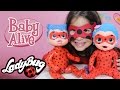 Minha Baby Alive da Ladybug