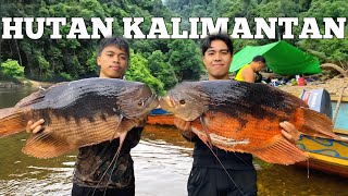 Camping in Heavy Rain 3 days adventure in the Kalimantan Forest Get red gourami fish cooked and e...