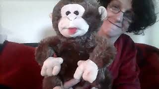 Funny Face Monkey