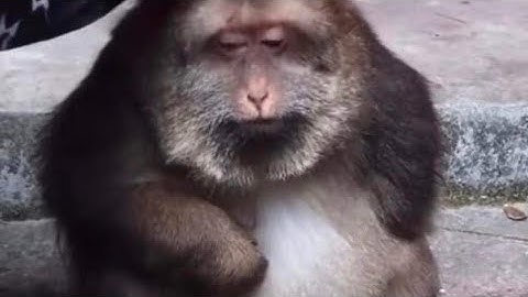 First Class Trouble: First real amongus part 7