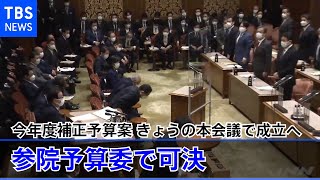 今年度補正予算案 参院予算委で可決 きょうの本会議で成立へ