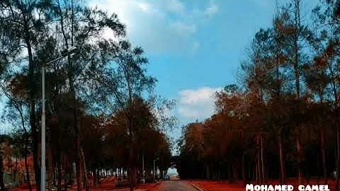 خالد الجليل _ ﴿فصبر جميل﴾ اجمل حالات واتس اب دينيه ⁦من سورة يوسف⁦❤️⁩💙 Quran Staus