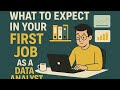 A Typical Day in the Life of a Data Analyst