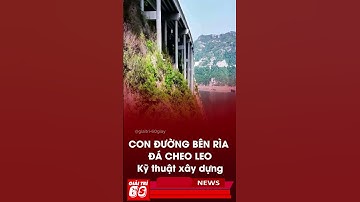 Kiến tạo trong xây dựng cầu đường trên thế giới #tintuc #giaitri #short