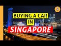 Understanding Car Ownership in Singapore