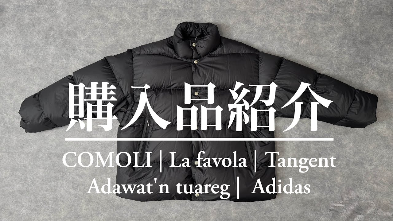 美品 comoli 24aw ダウン 24a/w comoli モールスキンジップショートジャケット サイズ3
