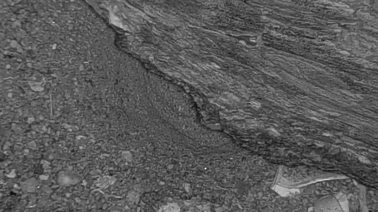 camera iphone 8 plus apk Djuma: What lurks in the dirt below the cam? - 02:48 - 07/15/19