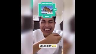 Kocak jerome nyobain filter tebak hewan yang bikin kesel