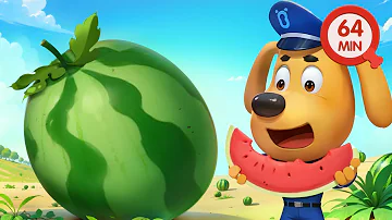 There's A Watermelon in My Tummy | Safety Tips | Detective Cartoon | Sheriff Labrador