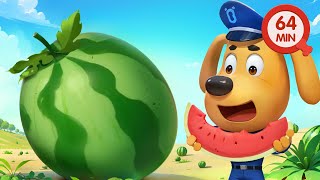 There&#39;s A Watermelon in My Tummy | Safety Tips | Detective Cartoon | Sheriff Labrador