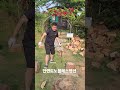 안면도노블레스펜션/대형야외수영장/미끄럼틀에어바운스/애견펜션/애견1마리무료입장/개별.공용바베큐가능/불멍무료/타로무료/웰컴드링크/무료조식/후기좋은펜션/01096002451