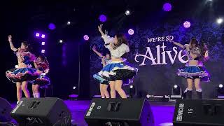 Fancam Stellagrima - Miracle Startune 4K 20251109 Re So Alive , The Street Ratchada