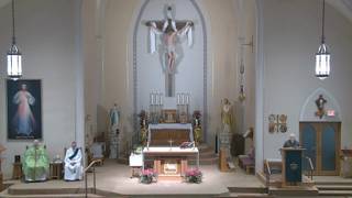 Friday Daily Mass - July 17, 2026