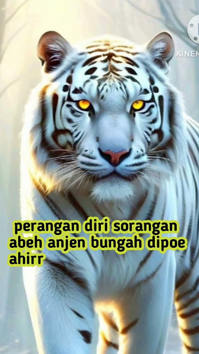 kata kata bijak bahasa sunda kata kata mutiara #bahasasunda