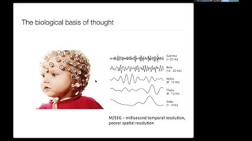 The science of self-awareness: Neural and computational models of metacognition and consciousness