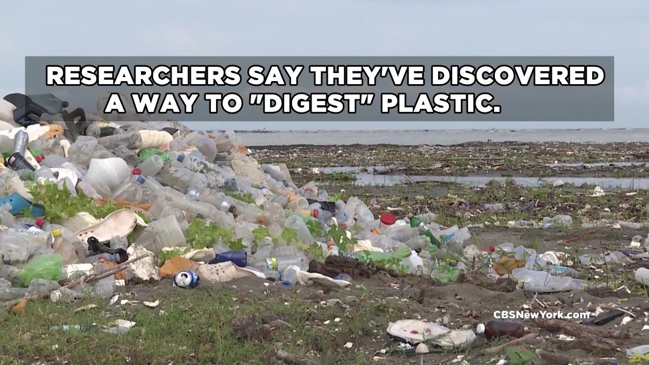 New Enzyme Can Break Down Some Plastic