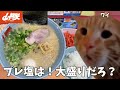 【山岡家】やっぱプレ塩だよな!!大盛りにしてライスも頼んで腹パンになれ!!という話【クセになる味】#猫ミーム #猫マニ