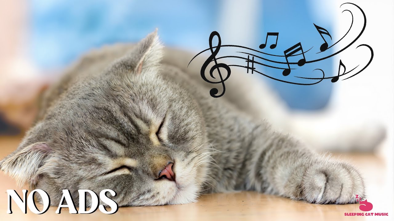 Calming Music for Anxious Cats : Sooting Sounds for Deep Relaxation and ...