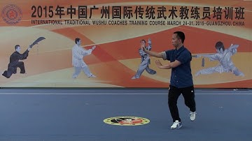 Cheng Style Bagua Zhang 程式八卦掌 第三掌 顺势掌 张峻峰演练 （Jacky）