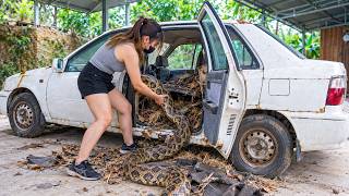 Classic Car or Deadly Trap She Buys a $2,000 Daewoo With a Snake Inside