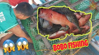 Malalaking Lapu-lapu | Bobo Fishing with Macky Barbacena | July 2021