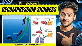 Physiology - Decompression Sickness (Respiratory) | MBBS 1st Year | Explanation & Notes | MBBS World