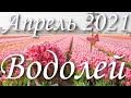 Прогноз на месяц Апрель 2021 года для представителей знака зодиака Водолей