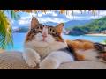 12 Hours Of Cat TV Soft Nature Visuals For Cats Calm Energy Cozy Sleep Comfort 