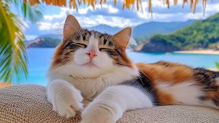 12 Hours Of Cat TV 🐈 Soft Nature Visuals for Cats 🎵 Calm Energy Cozy Sleep Comfort screenshot 3