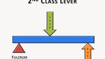 2nd Class Lever Video