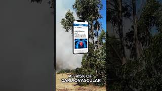 Protect Your Family From Wildfire Smoke