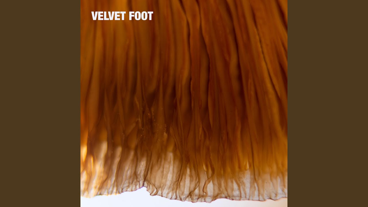 Watch Clean Break on YouTube Watch Clean Break on YouTube