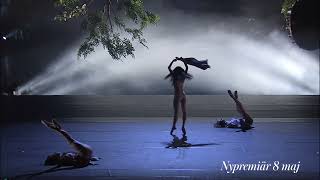 Midsommarnattsdröm (balett) - Trailer 2024