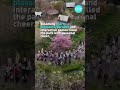 Spring Garden Festival draws crowds in China