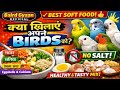 Soft Food for Birds 🐦 | Birds का सही Soft Food | क्या खिलाएँ क्या नहीं #birds #cockatiel